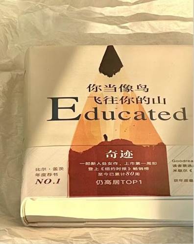 32a83ef5bc6943abfa39a3fbe55db56